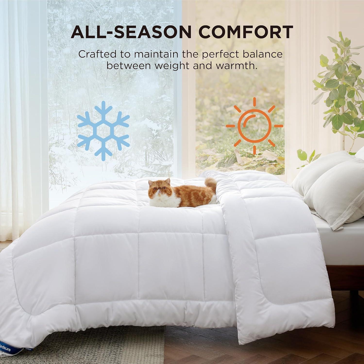 imageBedsure Comforter Duvet Insert Quilted Comforters King Size All Season Duvet GentleSoft Down Alternative Bedding with 8 Tabs Gifts for WomenMen White King 90 x 102 InchesWhite