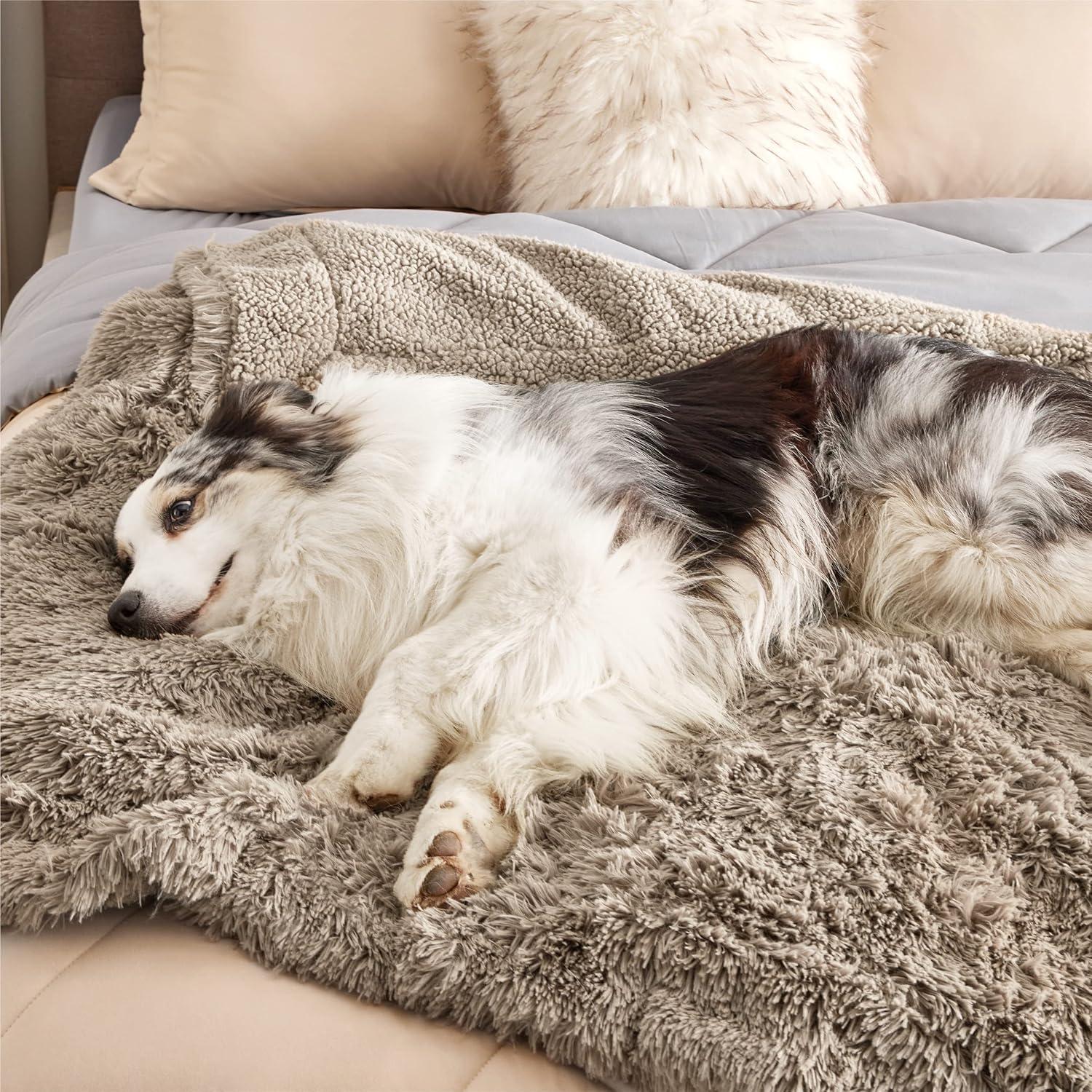 imageBedsure Waterproof Dog Blankets for Large Dogs Calming Cat Blanket for Couch Protector Washable Long Faux Fur Pet Throw Blanket for Puppy Reversible Furniture Protection 50quotx60quot BrownLight Brown