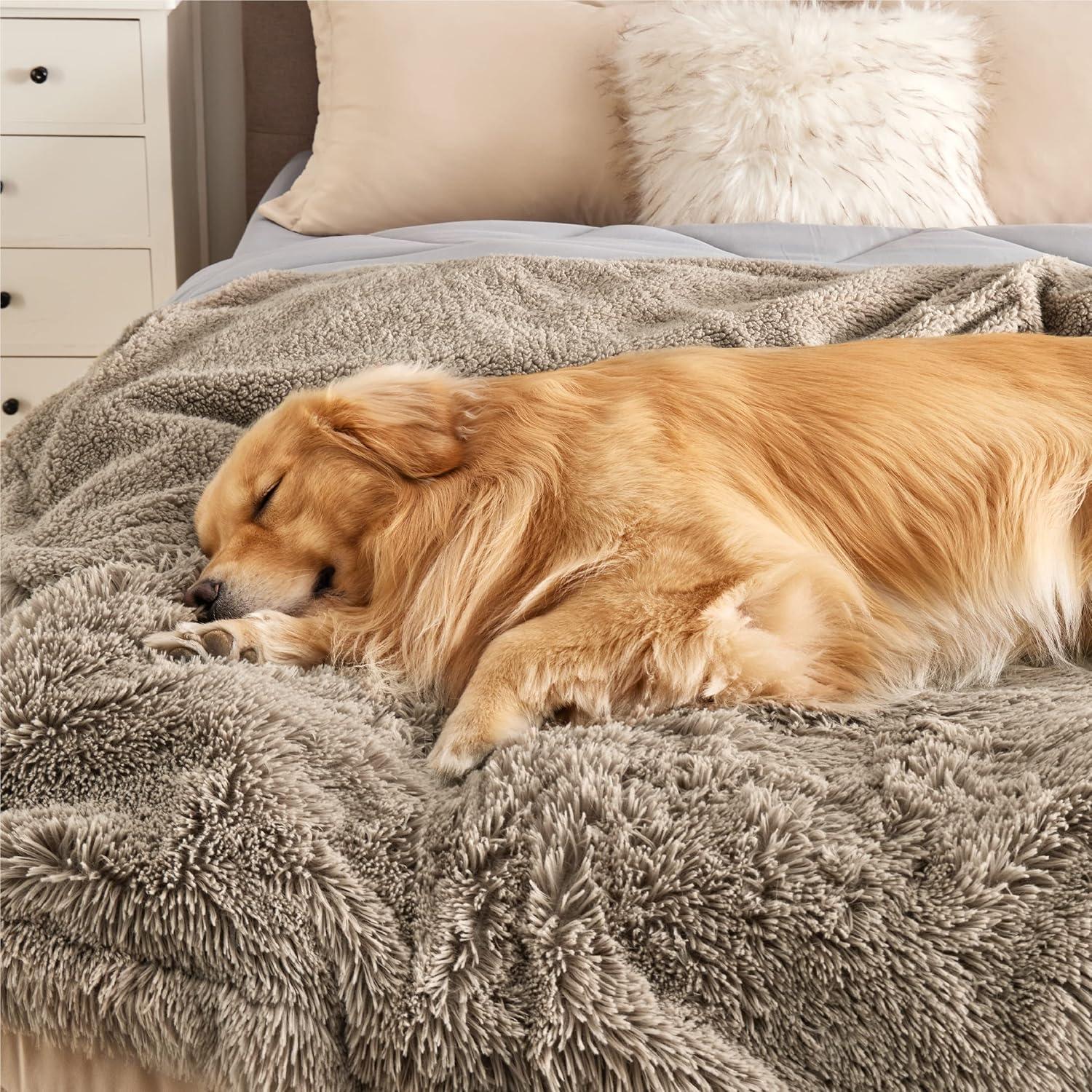 imageBedsure Waterproof Dog Blankets for Large Dogs Calming Cat Blanket for Couch Protector Washable Long Faux Fur Pet Throw Blanket for Puppy Reversible Furniture Protection 50quotx60quot BrownLight Brown