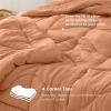 Bedsure Queen Comforter – Comforters Queen Size for All Season, Ultra-Soft Down Alternative & Prewashed Duvet Insert with 4 Tabs – Machine Washable, Linen, 88×88 Inches(Burnt Orange)