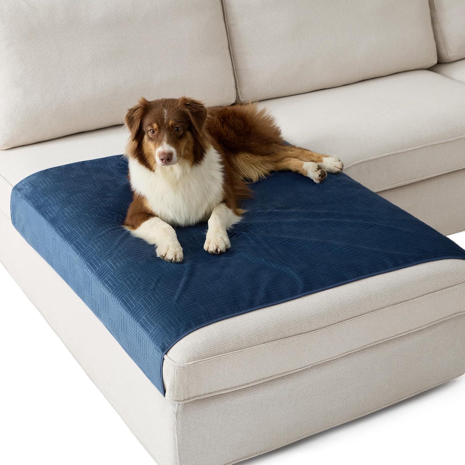 imageBedsure Waterproof Couch Cover for Dogs Washable Waterproof Blanket for Couch Sofa Cozy Lightweight Furniture Protector for Pet Cat Quick Drying Puppy Ash Grey 30x70INNavy