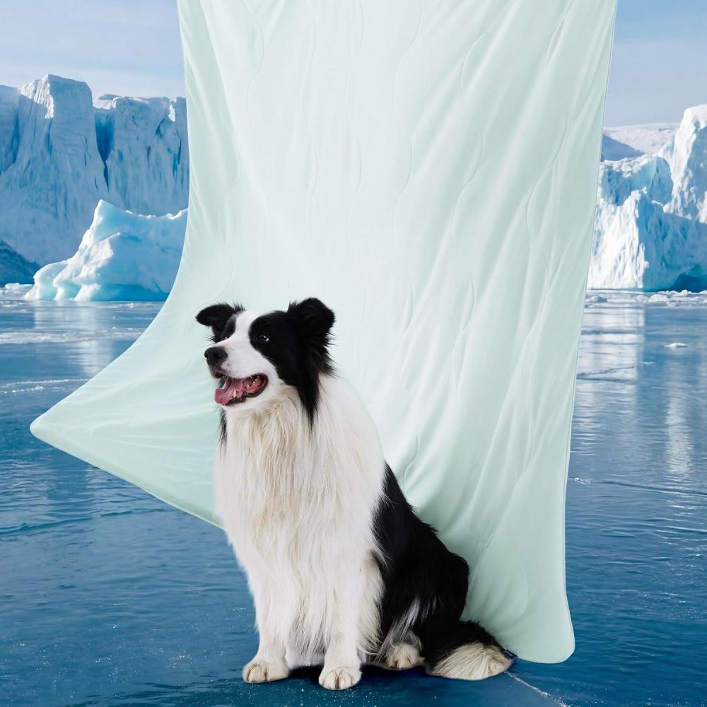 imageBedsure Cooling Blanket for Small Dogs with Breathable AirCore Fill QMAXgt04 Dog Cooling Mat Soft Lightweight Pet Cat Throw Cold Blanket Washable for Summer Arctic Blue 25x35Pale Jade