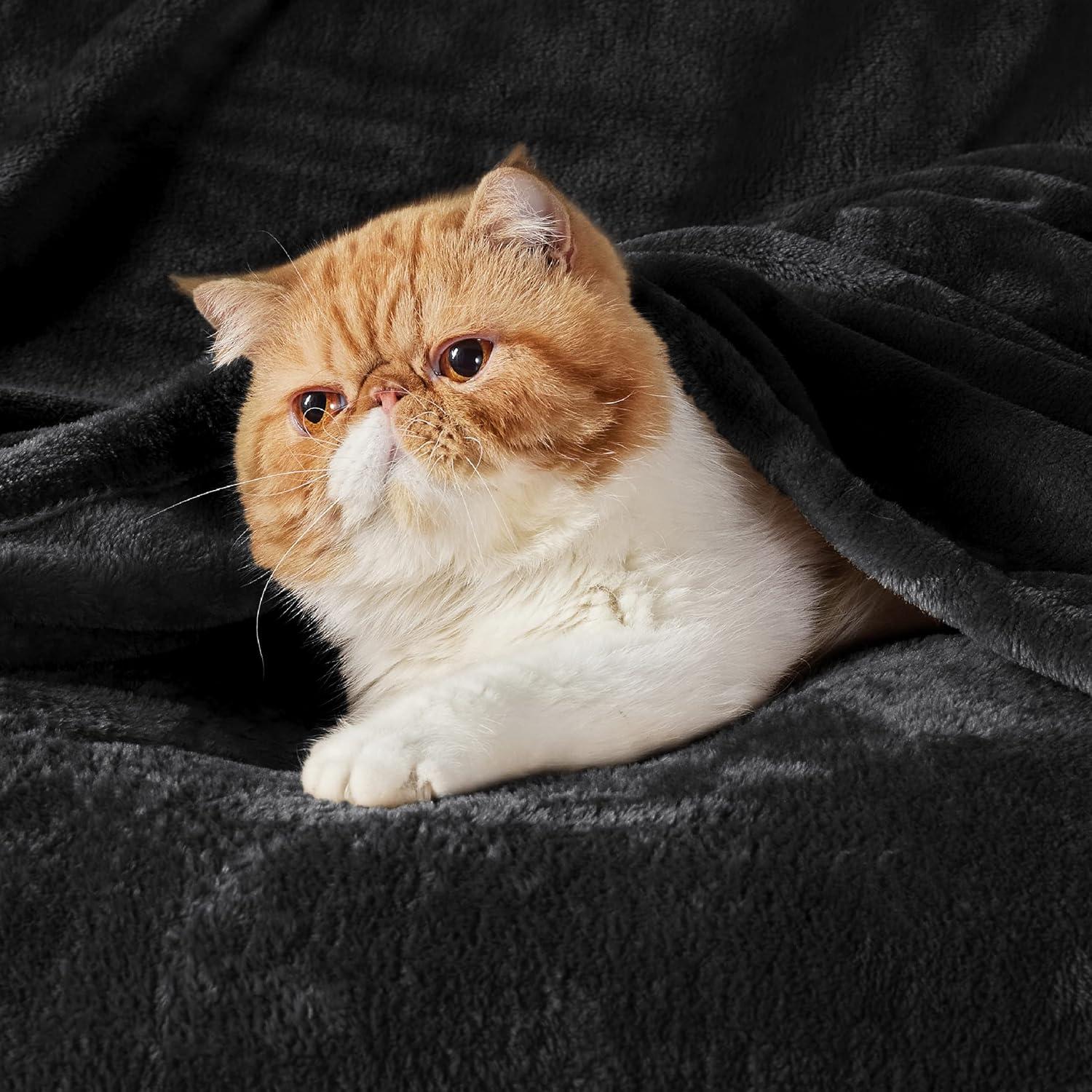 imageBedsure GentleSoft Fleece Bed Blankets Large Size Grey Soft Lightweight Fuzzy Cozy Luxury Oversized King Blanket Microfiber Room Home Decor Gifts for Women and Men 120x120 inches03 Black