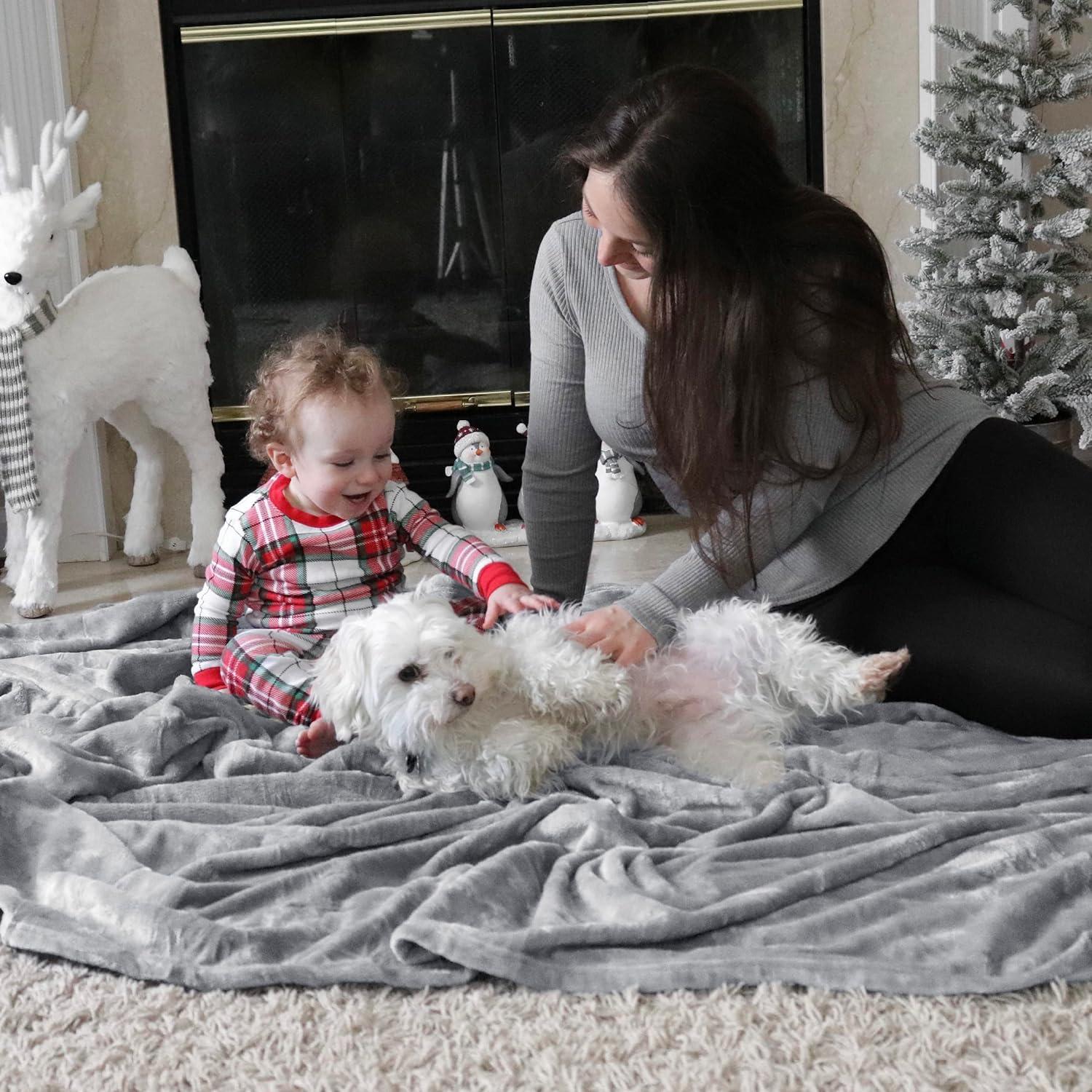imageBedsure GentleSoft Fleece Bed Blankets Large Size Grey Soft Lightweight Fuzzy Cozy Luxury Oversized King Blanket Microfiber Room Home Decor Gifts for Women and Men 120x120 inchesLight Grey