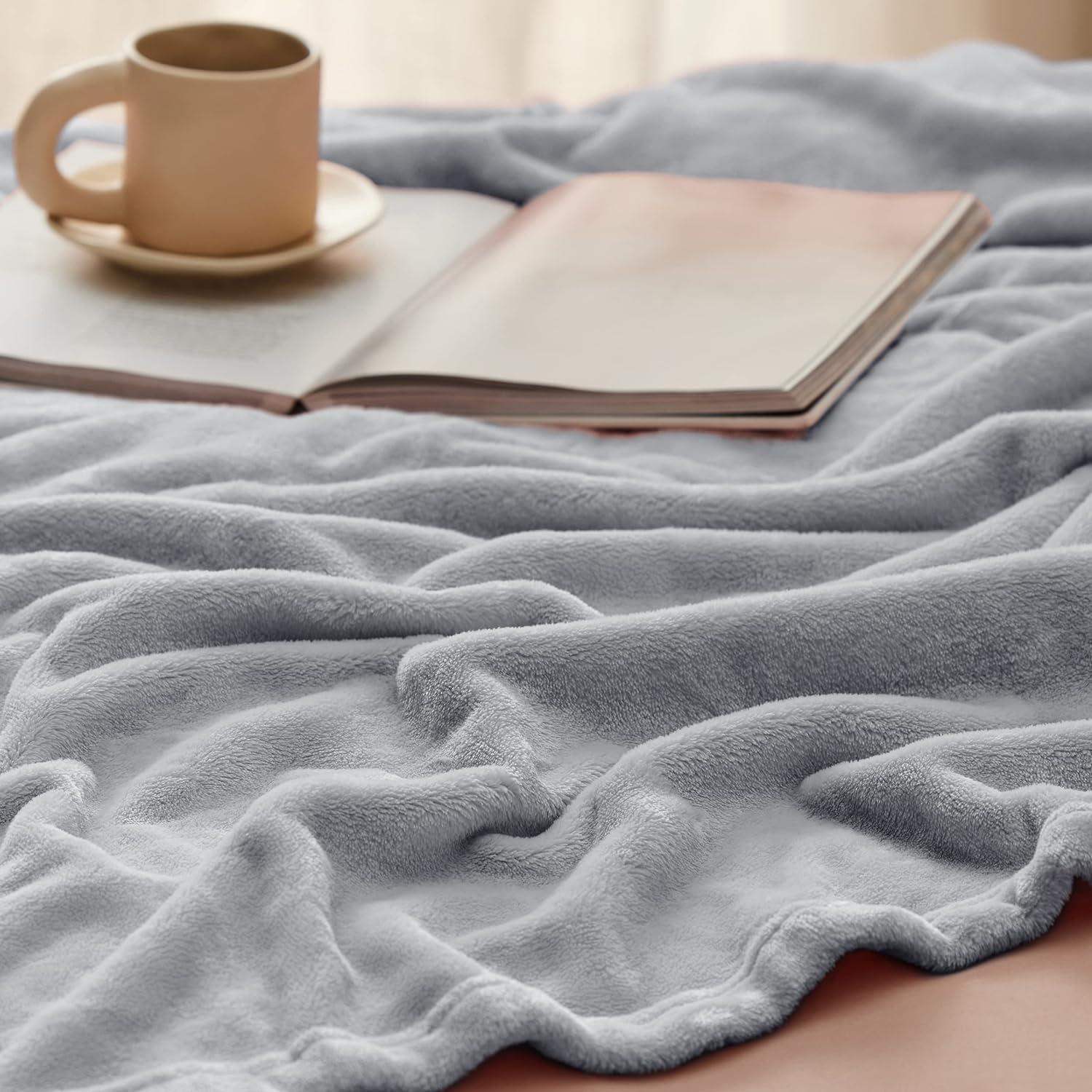 imageBedsure GentleSoft Fleece Bed Blankets Large Size Grey Soft Lightweight Fuzzy Cozy Luxury Oversized King Blanket Microfiber Room Home Decor Gifts for Women and Men 120x120 inchesLight Grey