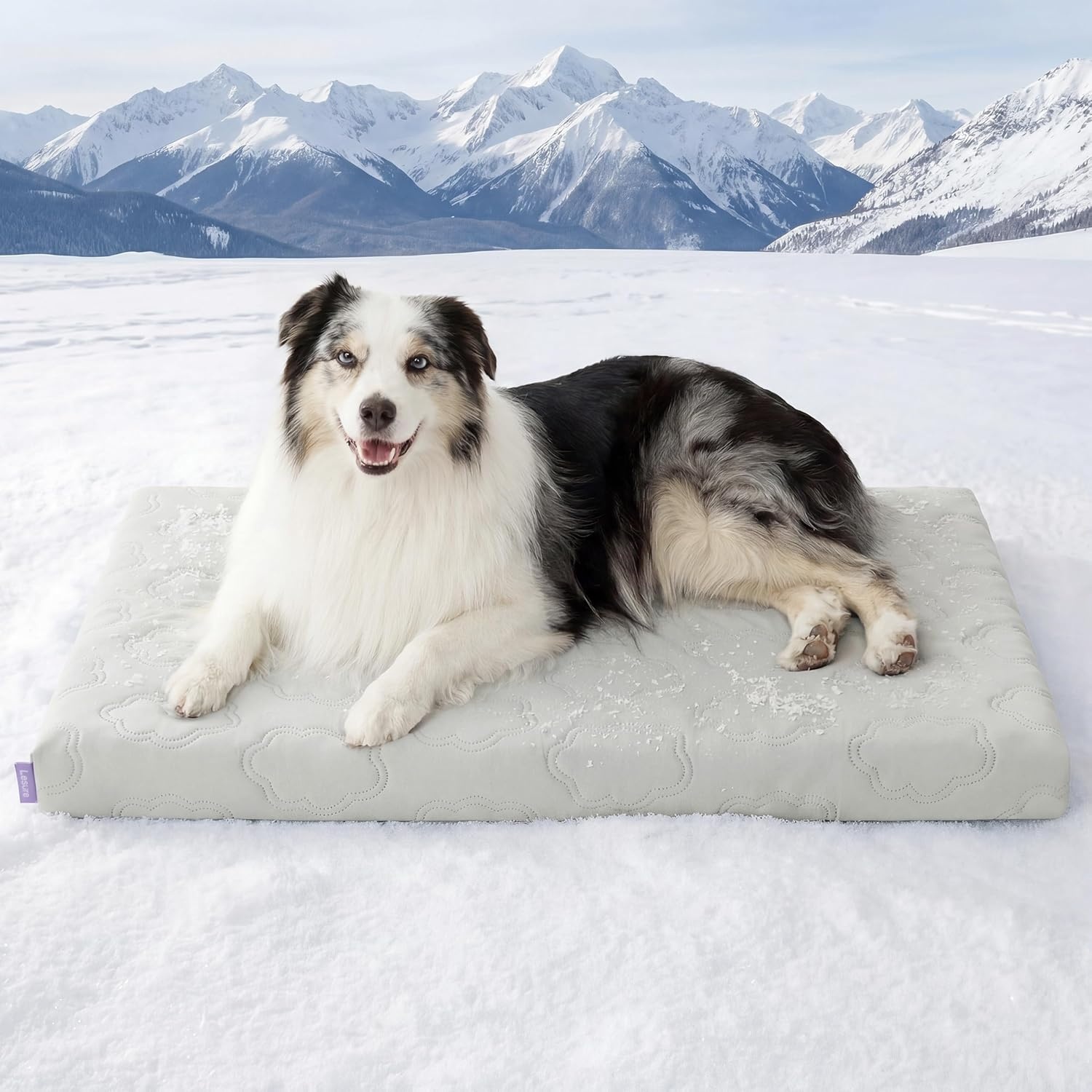 imageLE SURE Cooling Dog Beds Large Sized Dog QMaxgt05 Cooling Mat with Removable Washable Cover Breathable Orthopedic Egg Crate Foam NonSlip Summer Pad for ActiveSeniorLongHaired Pets 35x22 InchCooling Gray